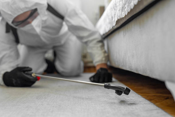 Professional Ant Control technician working in Navasota, TX