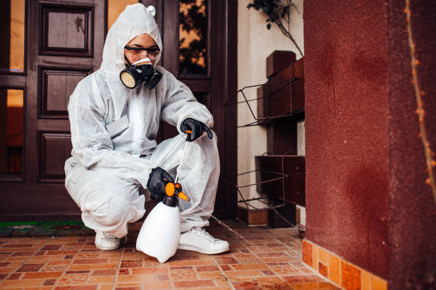 Reliable Ant Control contractor in Navasota, TX by Show Me Pest Control